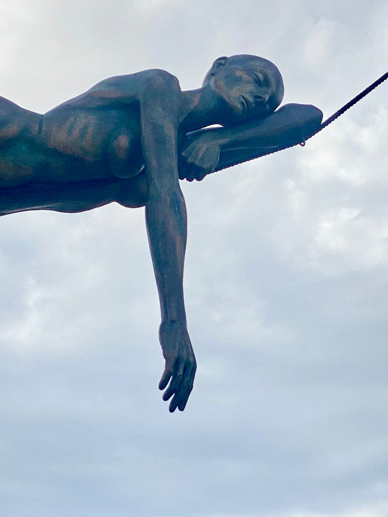 The Seeds Have Been Planted: Revealing Surprises of Côte ď Azure