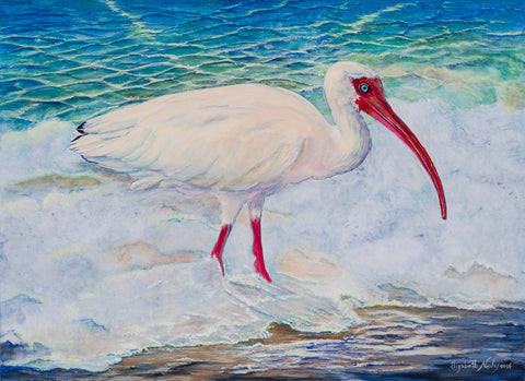 Ibis In the Waves