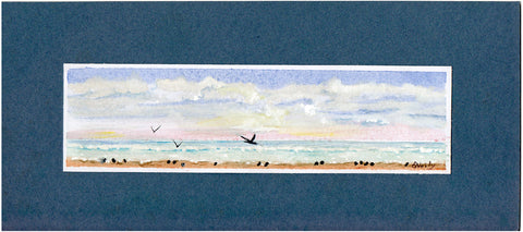 Birds on the Beach