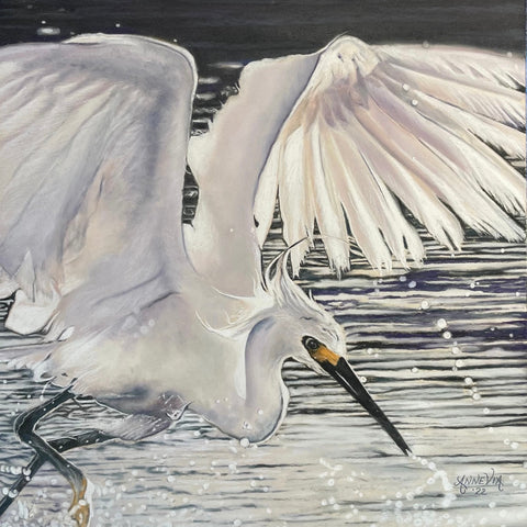 For the Birds-An Artful Fundraiser
