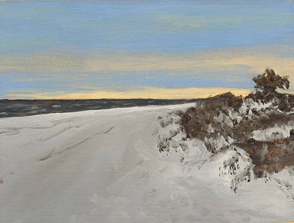 Study 4 for "Walk With Me"