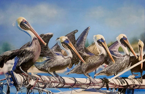 A Pelican Brief by Anne Via