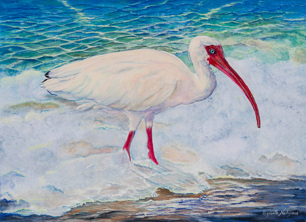 NEW! - Ibis In the Waves