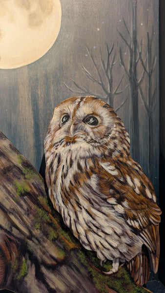 Luna and the Owl by Judith Villavisanis