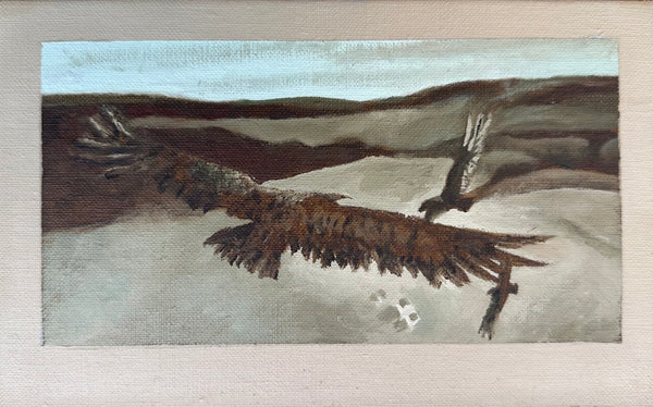 Study of Soaring after Wyeth