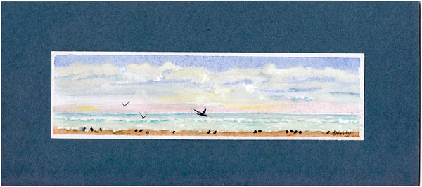Birds on the Beach