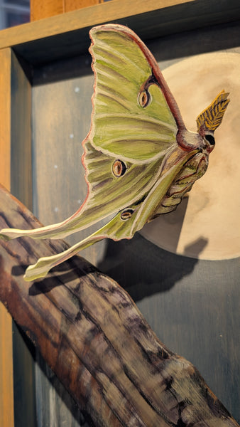 Luna and the Owl by Judith Villavisanis