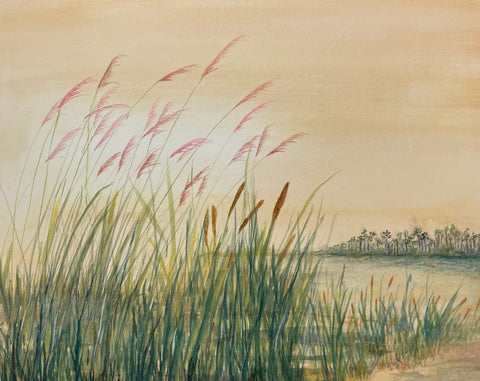 Lost in the Everglades ~ Reeds and Cattails