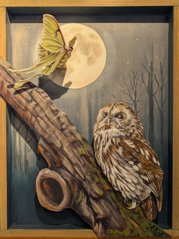 Luna and the Owl by Judith Villavisanis