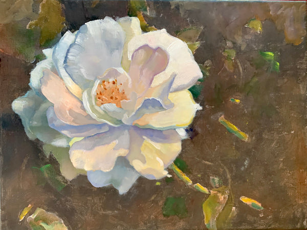 White Rose