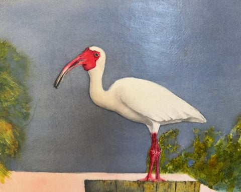 Sacred Ibis by Barbara Beyhl
