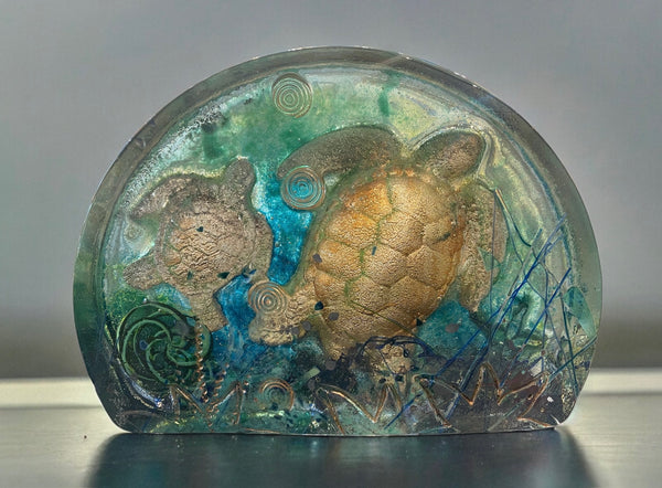 Large Arched Turtles