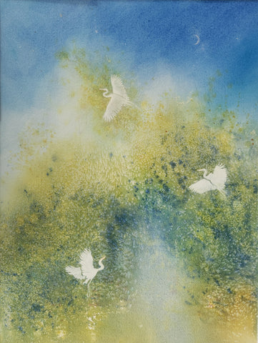 Angels of the Mangroves