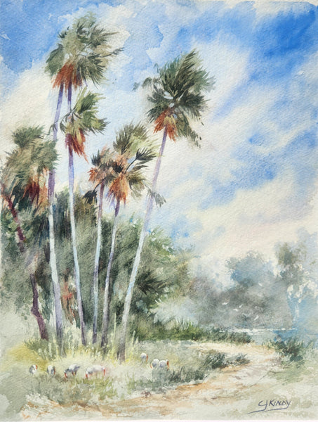Ibis Park Ibis