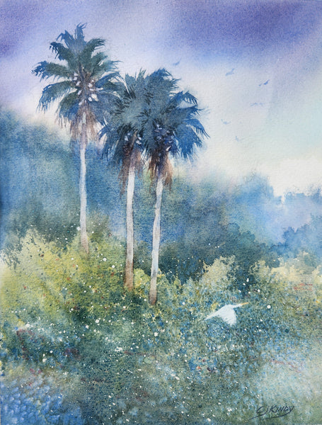 Misty Ibis Park