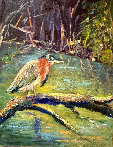 NEW! - Green Heron