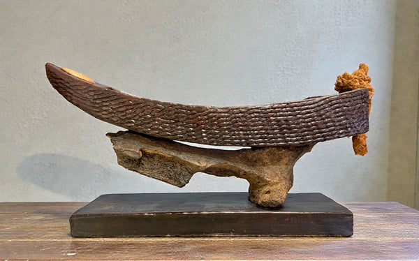 Florida Mammoth Rib Boat