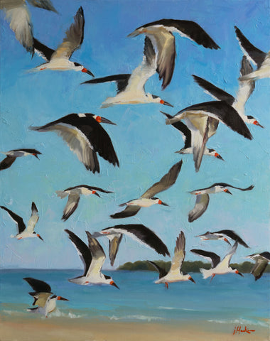 Soar by Jane Haskins
