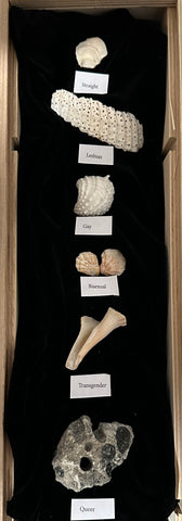 Flavors by Victoria Jorgensen