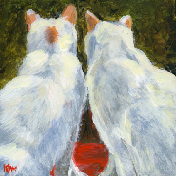 Cat Brothers
