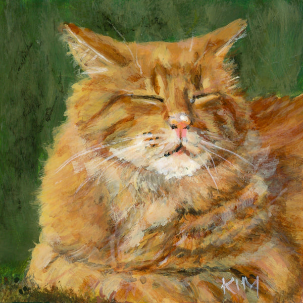 Cat Nap
