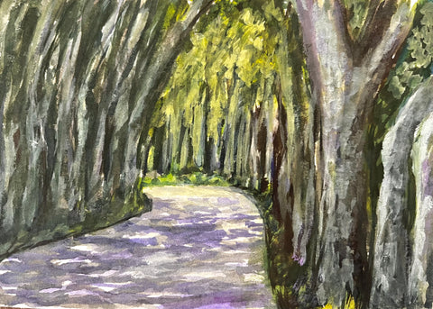 Plane Tree Allee