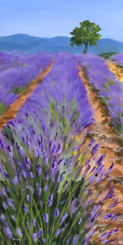 La Lavande du Luberon