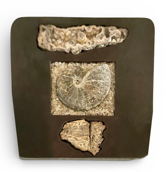 Ancient Coral Wall Panel #2