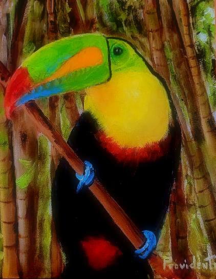El Tucano by Jack Providenti
