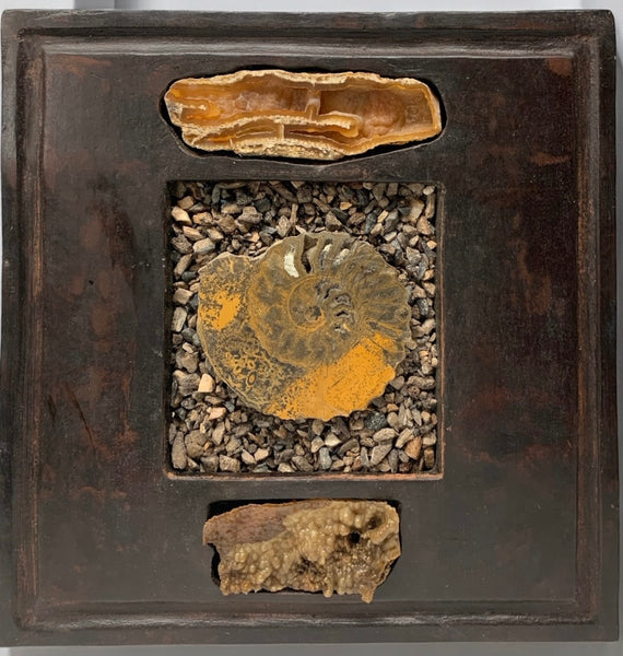 Ancient Coral Wall Panel