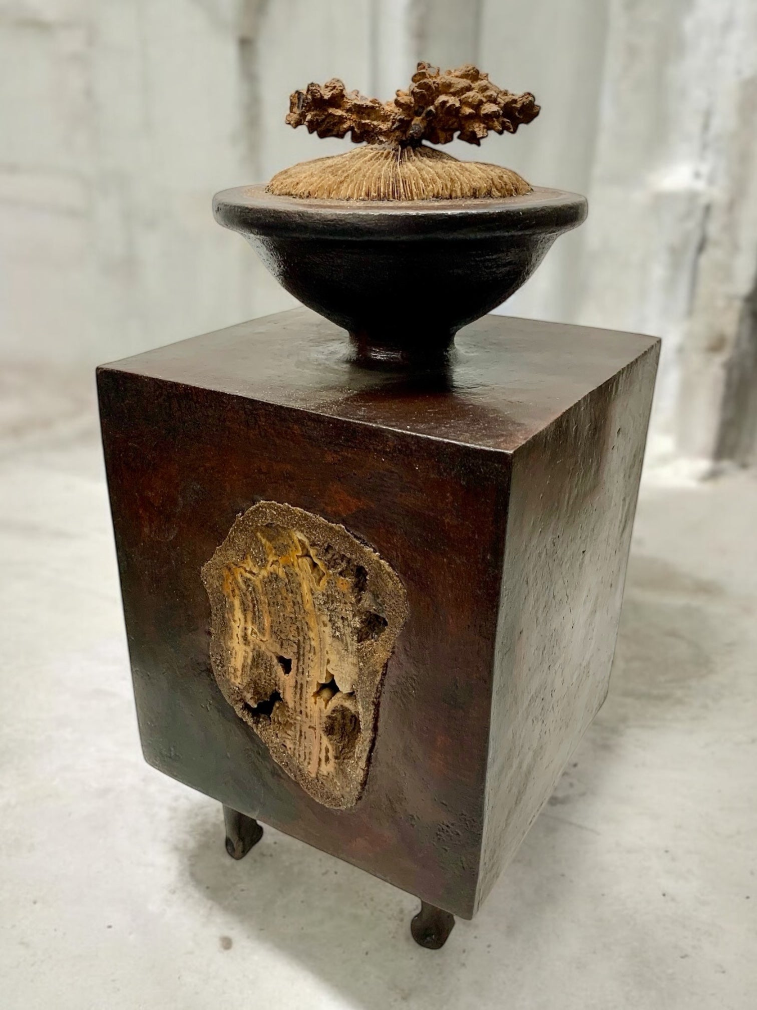 Button Coarl Button Coral Box - Brenda McMahon Gallery