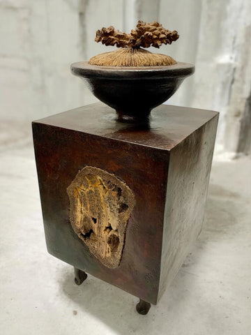 Button Coral Box