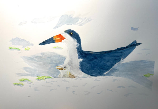 Summer Skimmers by Lynn Taylor