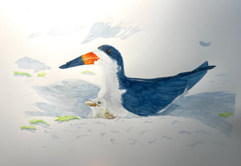 Summer Skimmers by Lynn Taylor