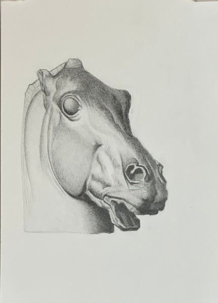 Horse Head after Barque (NOT FOR SALE)