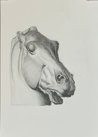 Horse Head after Barque (NOT FOR SALE)