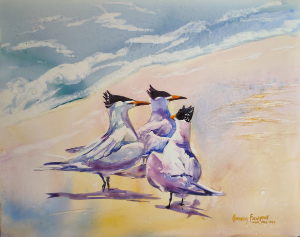 terns on the beach, watercolor