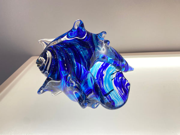 Cobalt Large Conch Shell