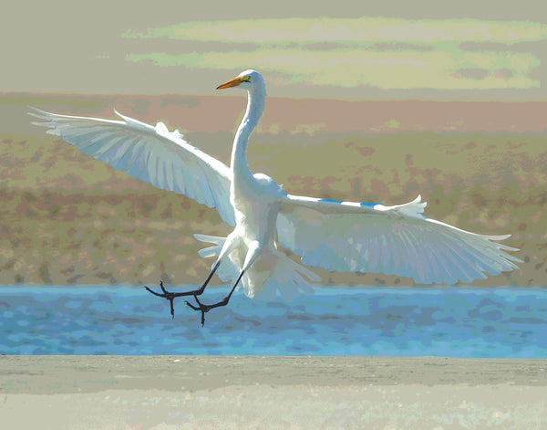 Soft Landing