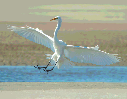 Soft Landing